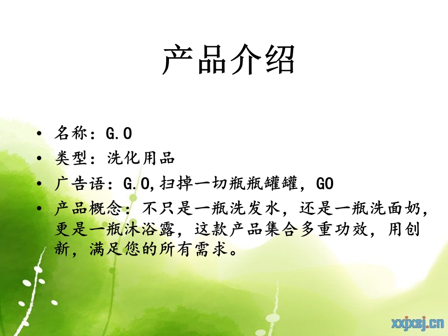 新产品开发策划方案.ppt_第2页