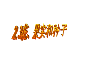 教科版小学科学四级下册《花、果实、种子》课件.ppt