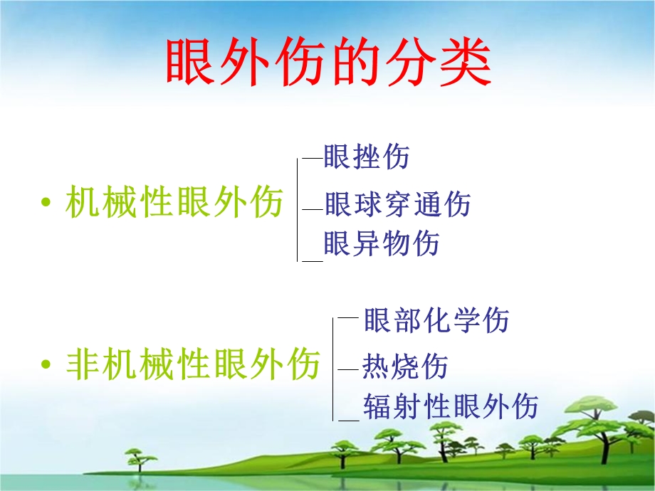 眼外伤病人的护理.ppt_第2页