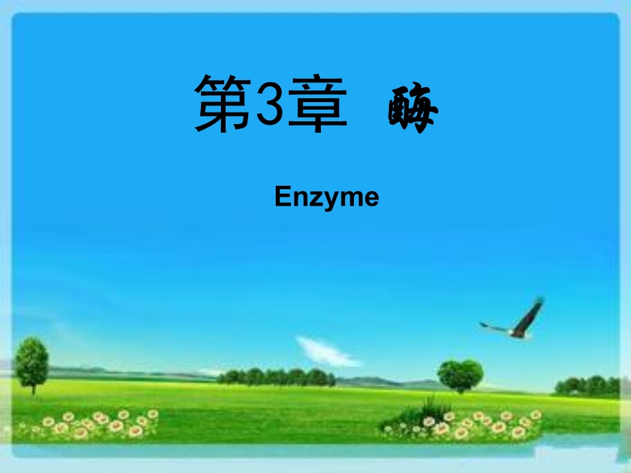 酶的概念知识讲座PPT生物酶.ppt_第1页