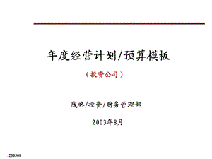 经营计划预算模版.ppt