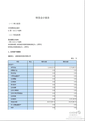 ST 创智：半财务报告.ppt