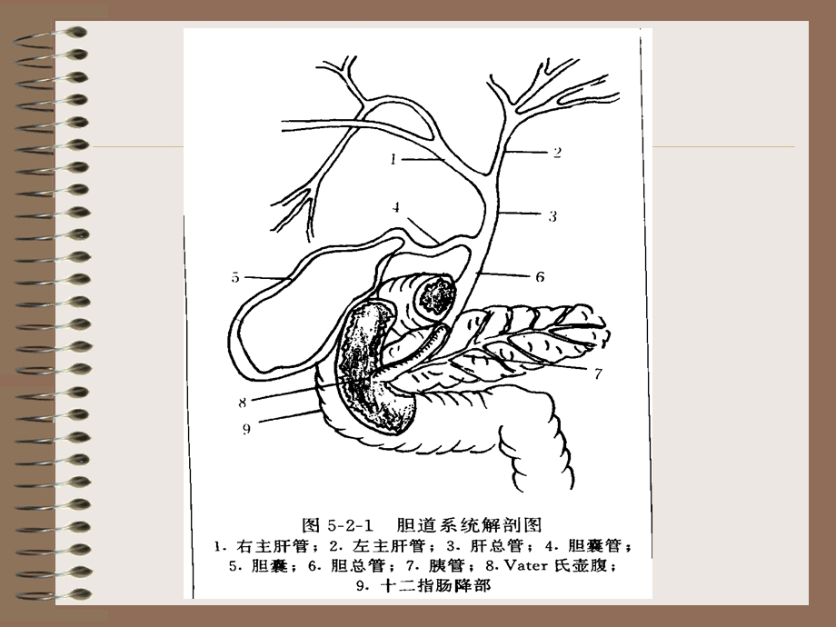 6、CT胆道影像学表现.ppt_第2页