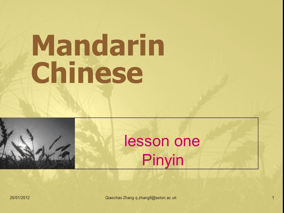 Mandarin Chinese.ppt_第1页