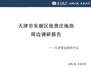 08天津市东丽区张贵庄地块 周边调研报告25p.ppt