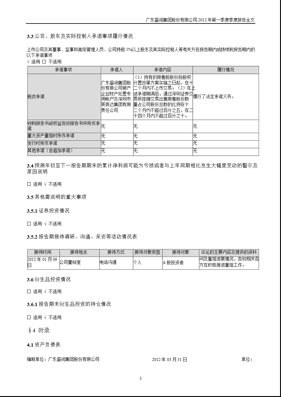 ST盛润A：第一季度报告全文.ppt_第3页