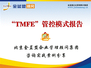 金蓝盟TMFE管控模式2稿.ppt