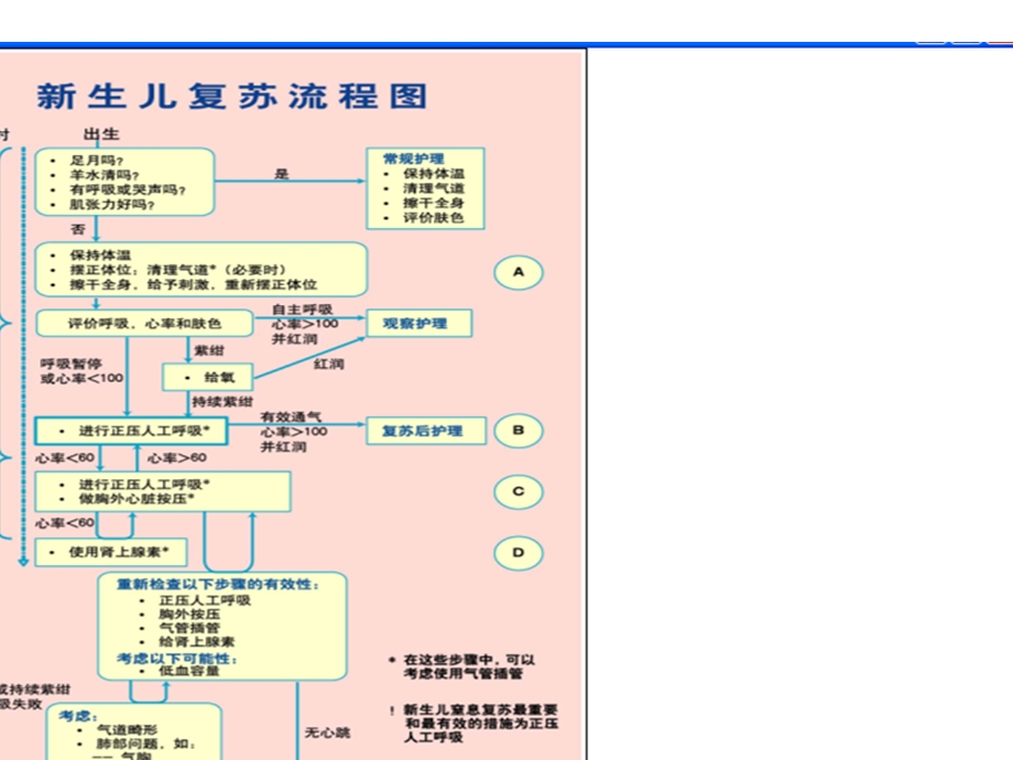 新生儿复苏过程及注意的问题.ppt_第3页