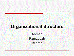 Organizational Structure(PPT42).ppt