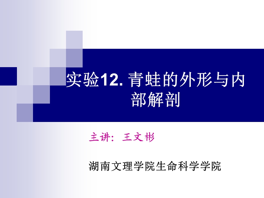 实验12.青蛙的外形与内部解剖.ppt.ppt_第1页