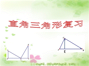 初中数学课件《直角三角形复习》课件.ppt