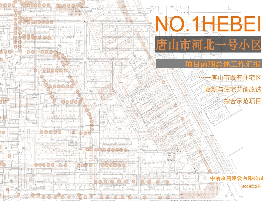 某小区项目前期总体工作汇报.ppt_第1页