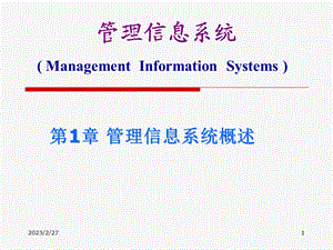 教学PPT管理信息系统概述.ppt
