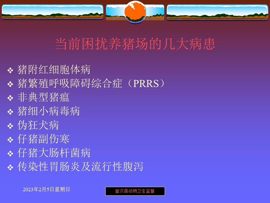 当前猪病防治的秘诀.ppt_第2页