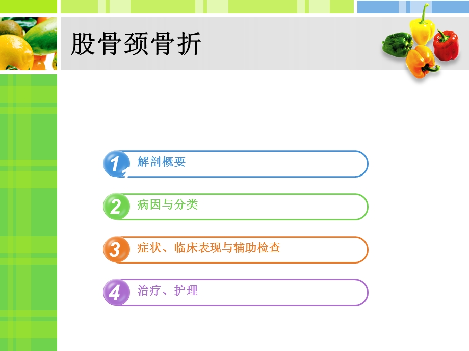 股骨颈骨折治疗及护理.ppt_第2页