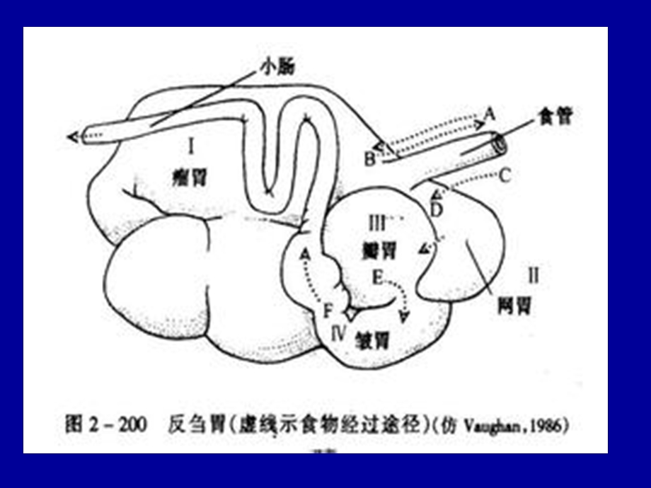 小反刍兽疫.ppt_第2页