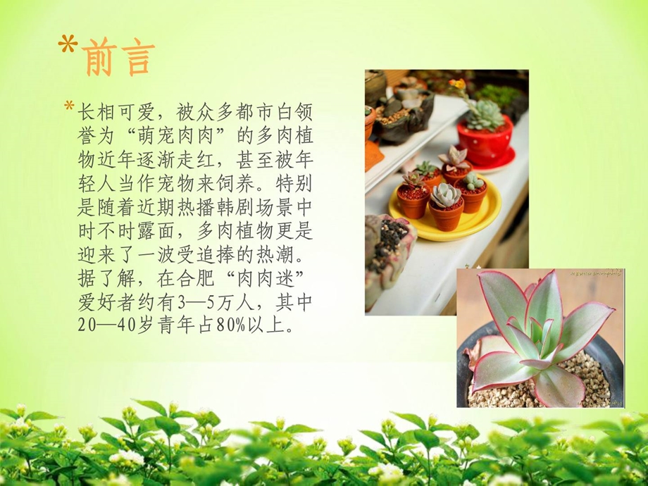 多肉植物展[最新].ppt_第3页