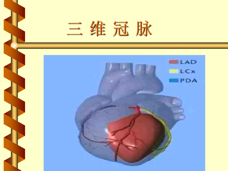 冠心CAD专题讲座PPT.ppt_第2页