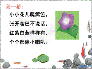 乌鸦喝水教案.ppt