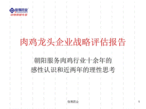 肉鸡龙头企业战略评估报告朝阳服务肉鸡行业十余的感性认识和近两的理性思考.ppt