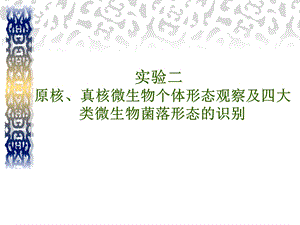 原核、真核微生物个体形态观察及四大类微生物菌落形态的识别.ppt