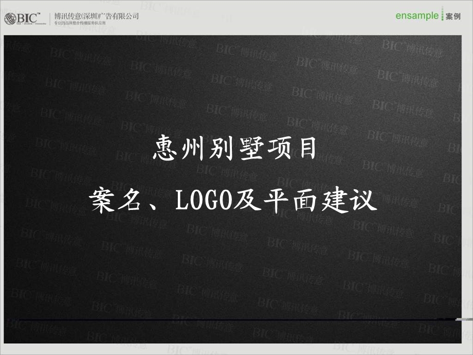 别墅项目案名及表现.ppt_第2页