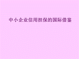 中小企业信用担保的国际借鉴(ppt ).ppt