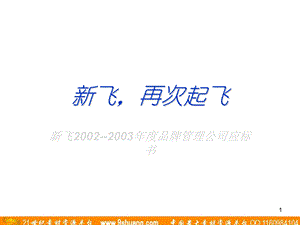 思源广告新飞20022003品牌管理公司应标书.ppt