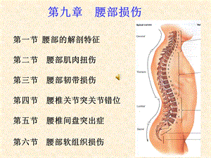 第九章腰部损伤.ppt