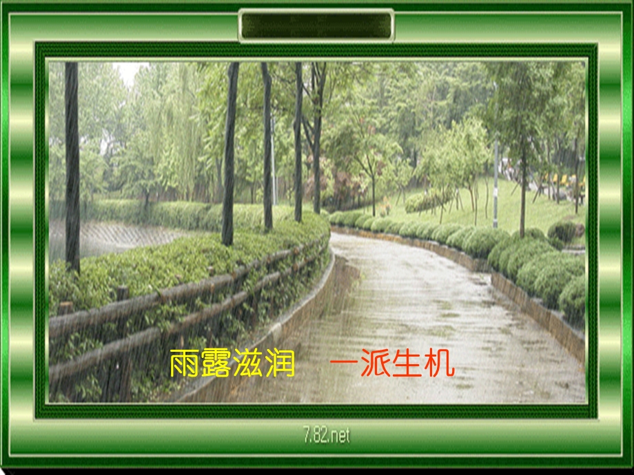 有生命之画【经典PPT】 .ppt_第3页