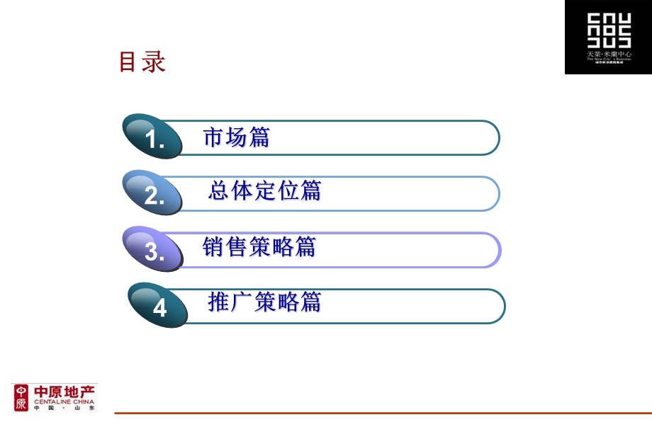 济南天业国际营销报告82P..ppt_第3页