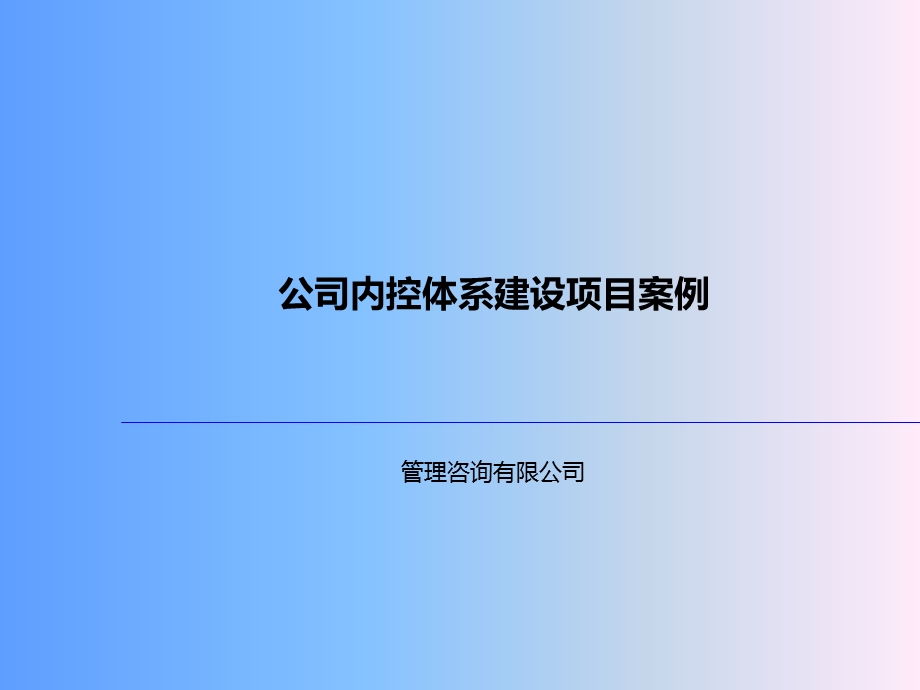 公司内控体系建设项目案例.ppt_第1页