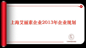 上海艾丽素国际美容公司企业规划报告.ppt