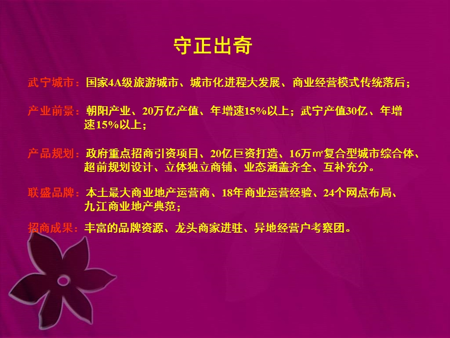 2014江西联盛武宁快乐城二期营销思路（77页） .ppt_第3页