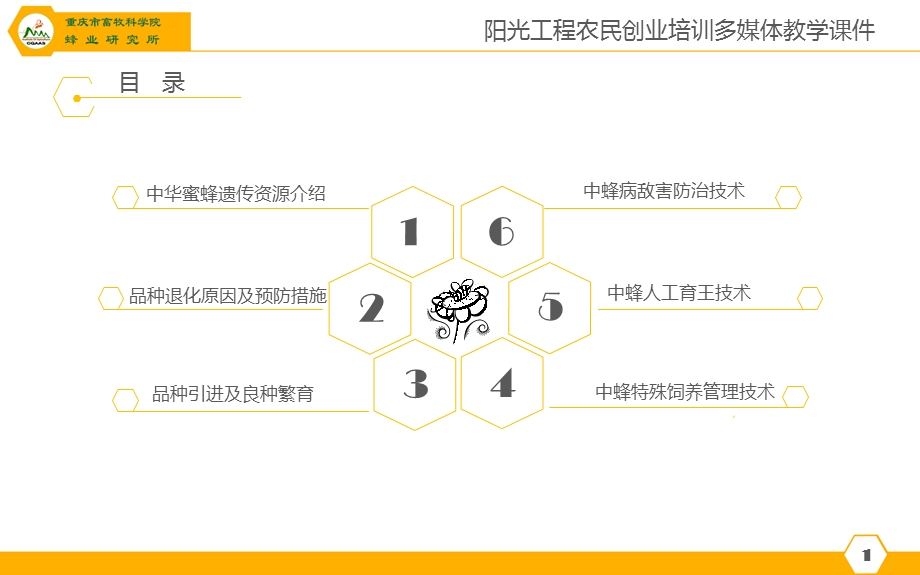 中蜂良种繁育技术教程.ppt_第2页