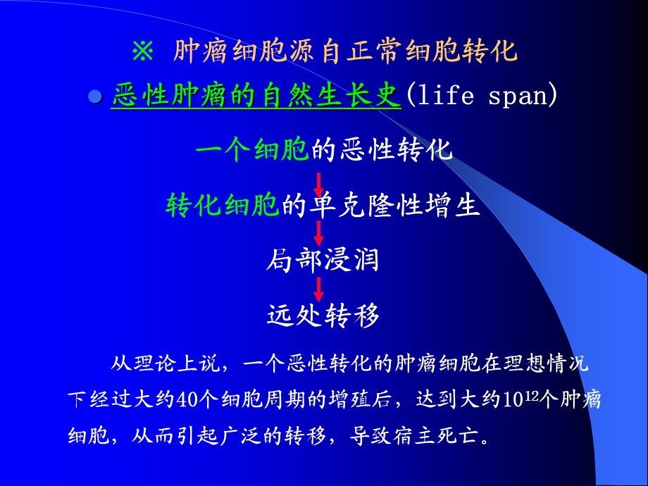 肿瘤病理形态.ppt_第3页