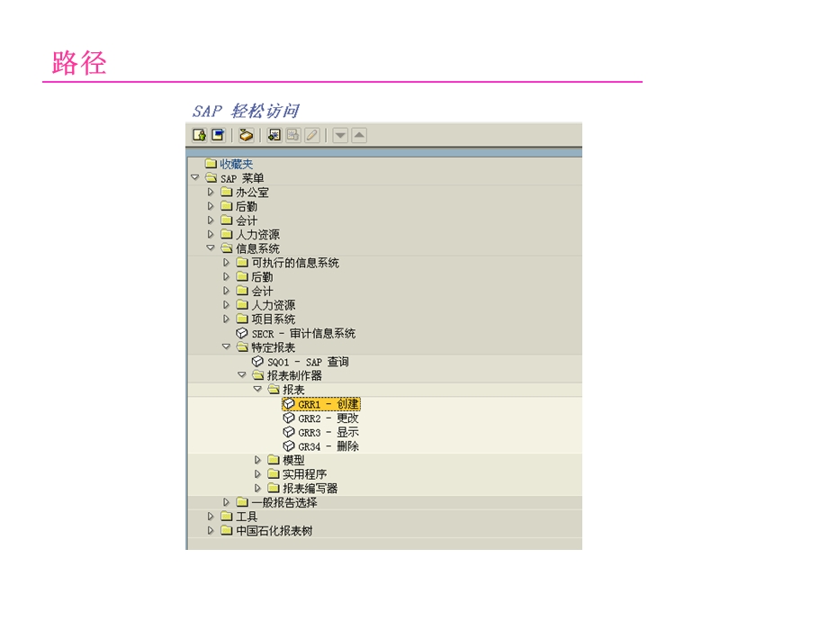 SAP Report Painter报表制作权威教程.ppt_第3页