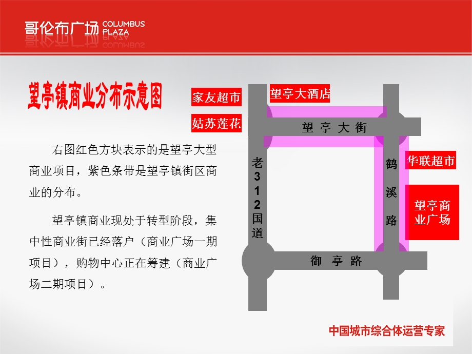 江苏省苏州市望亭、东桥市场调查报告（17页） .ppt_第1页