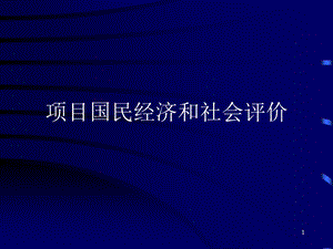 项目国民经济和社会评价.ppt