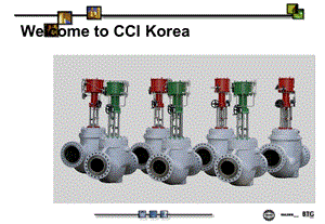 CCI 调节阀简介.ppt