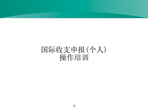 国际收支申报个人（PPT） .ppt