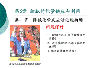 降低化学反应活化能的酶 上课.ppt.ppt