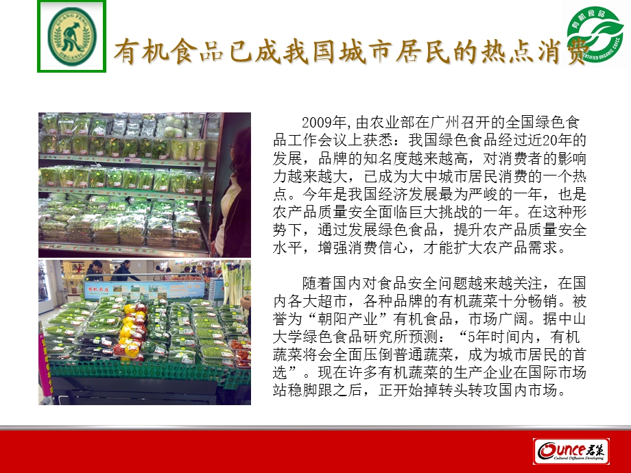 广丰有机蔬菜市场推广方案.ppt_第3页