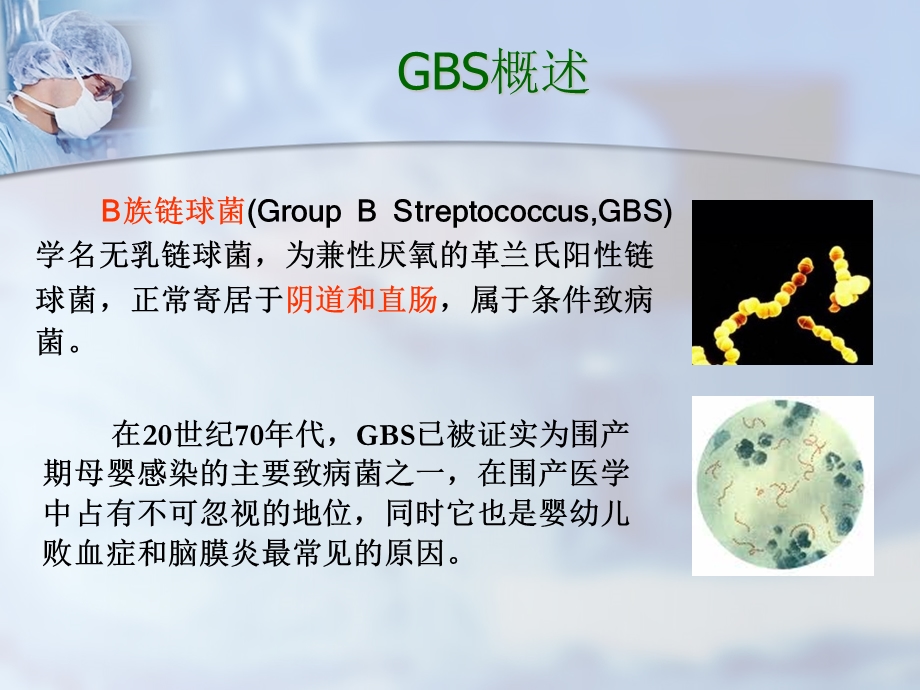 GBS介绍.ppt.ppt_第3页