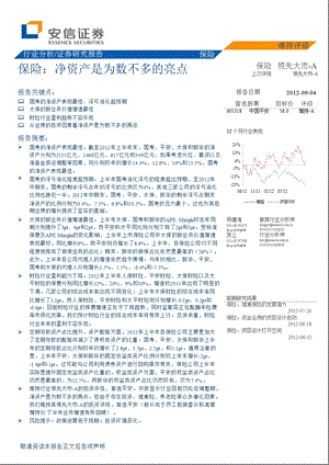 保险：净资产是为数不多的亮点0904.ppt