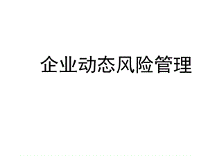 企业动态风险管理.ppt