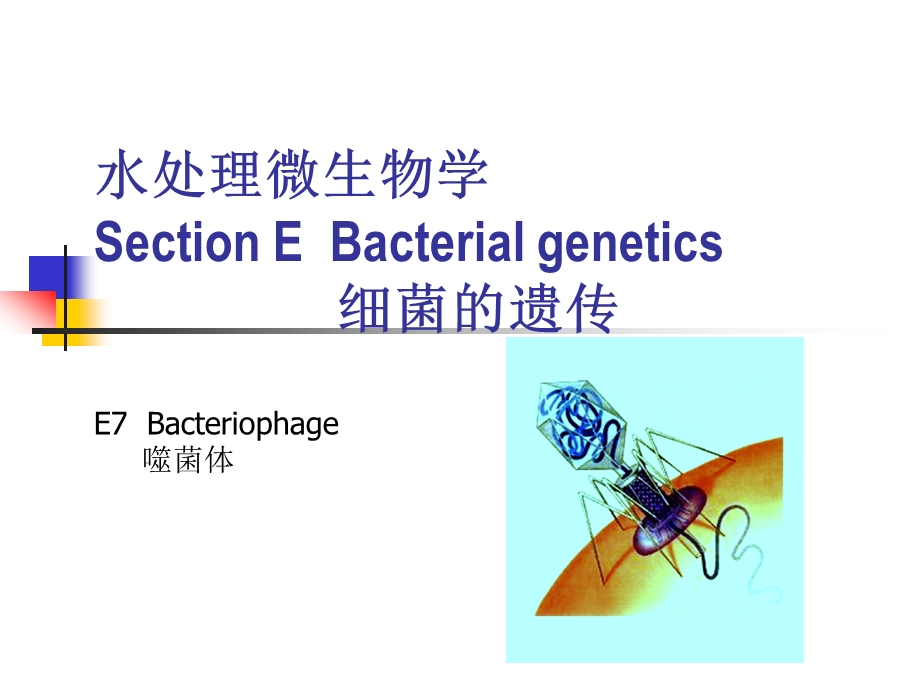 水处理微生物学—细菌的遗传（中英文对照） .ppt_第1页