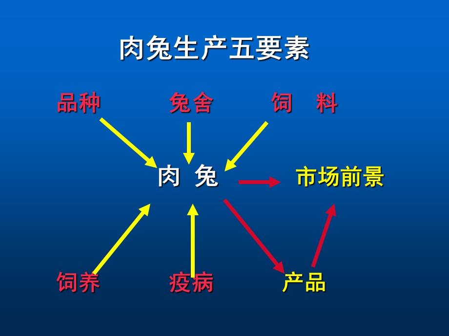 优质肉兔高效养殖关键技术.ppt_第1页