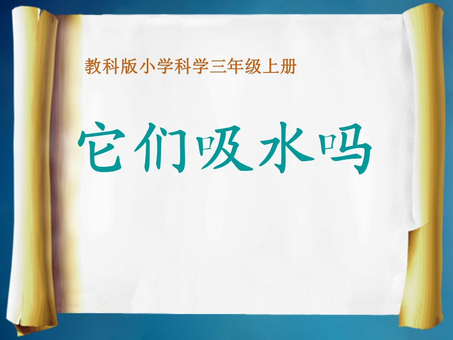 教科版小学科学三年级上册课件《它们吸水吗》课件.ppt_第1页