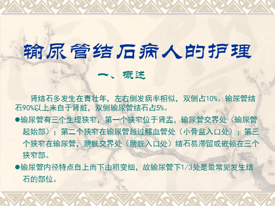 输尿管结石病人护理.ppt_第1页